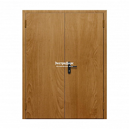 Двухстворчатая дверь глухая противопожарная EI 30 ДГ-02-EI-30 двупольная входная с МДФ
