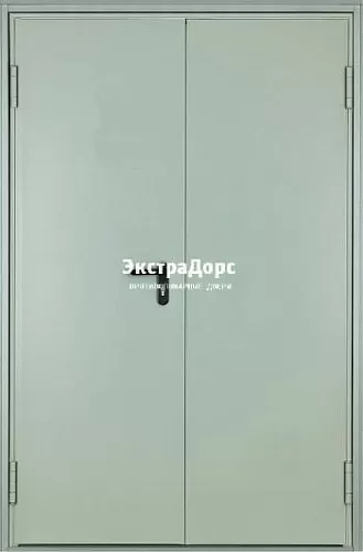 Металлическая противопожарная дверь ДПМ-01-30 входная металлическая двупольная (левая)