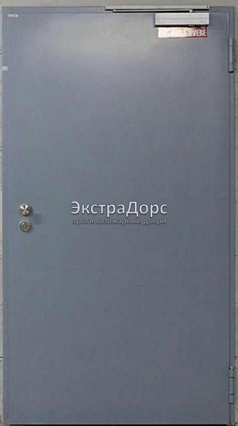 Противопожарная дверь однопольная дымогазонепроницаемая металлик в Подольске  купить