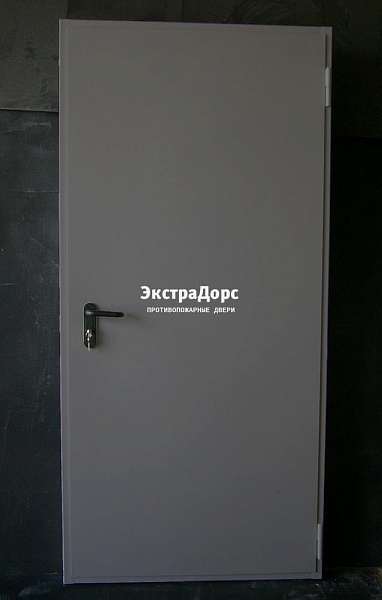 Дверь металлическая противопожарная EI 60 ДПМ 2 типа серая в Подольске  купить
