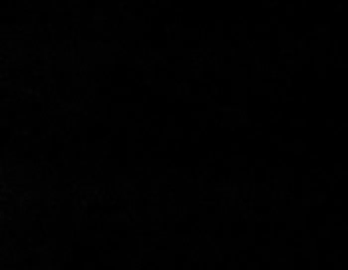 RAL 9005